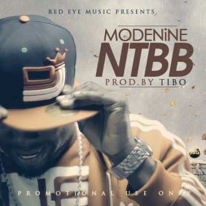 Modenine-NTBB-Artwork