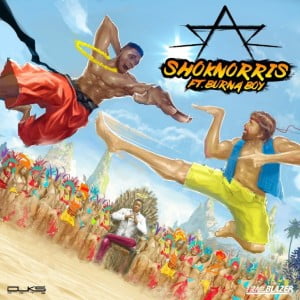 Sarz Shoknorris - Artwork