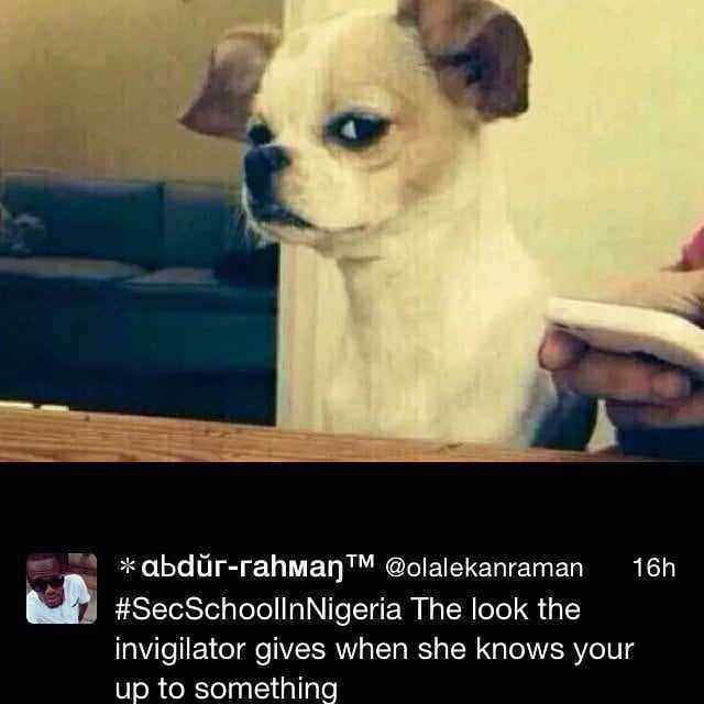 SecSchInNigeria-MPmania-9