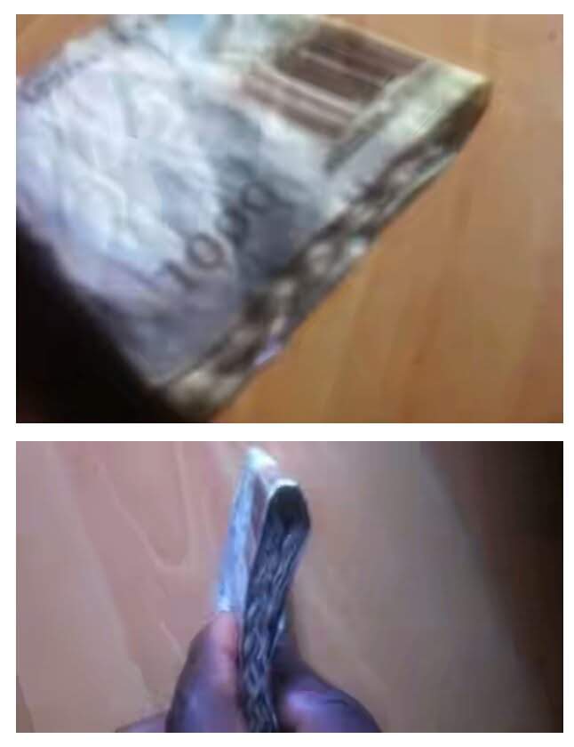 wp-1467358815174 image