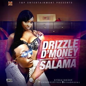 Drizzle D'Money - Salama Artwork