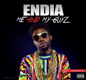 Endia - Art