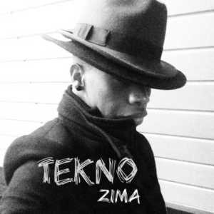 Tekno-zima