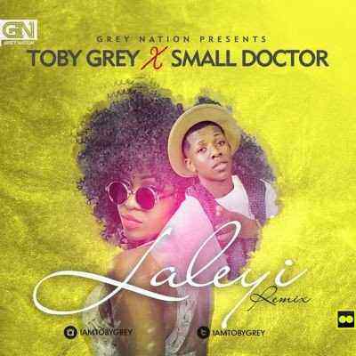 Download MP3 Toby Grey – Laleyi [Night Train] [remix] ft. Small Doctor