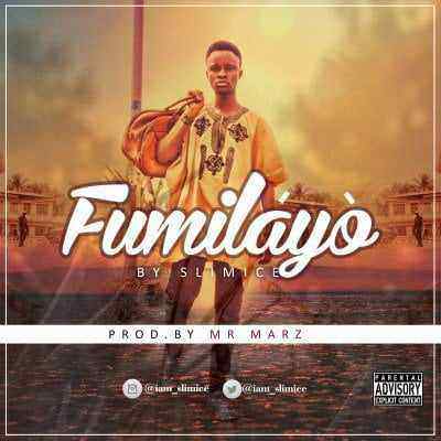 Download MP3 Slimice - Funmilayo - Artwork