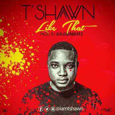 T’Shawn (@iamtshawn) – Like That