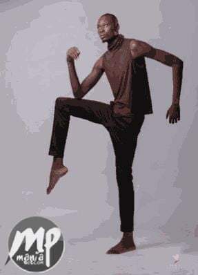 wp-1469096224232 image