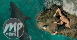 Shallows-movie-mp4