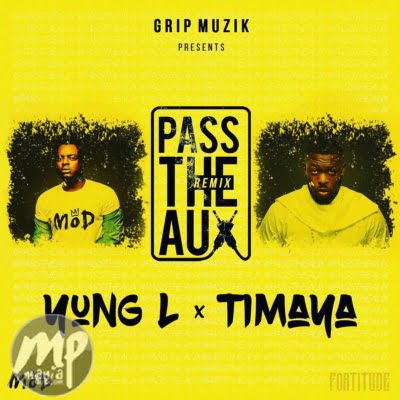 Yung L - Pass The Aux (remix) ft. Timaya