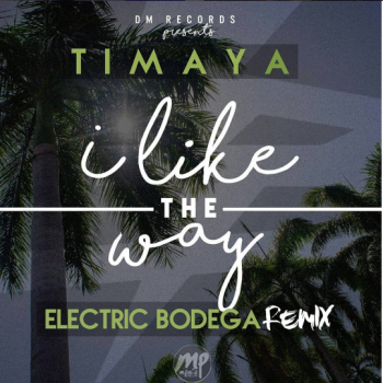 Timaya - I Like The Way (Electric Bodega Remix)
