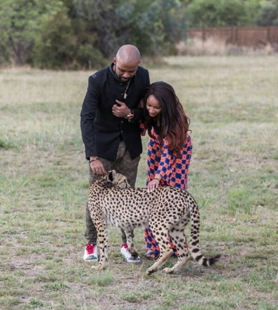  Photos: Newlyweds BankyW and Adesua play with cheetahs