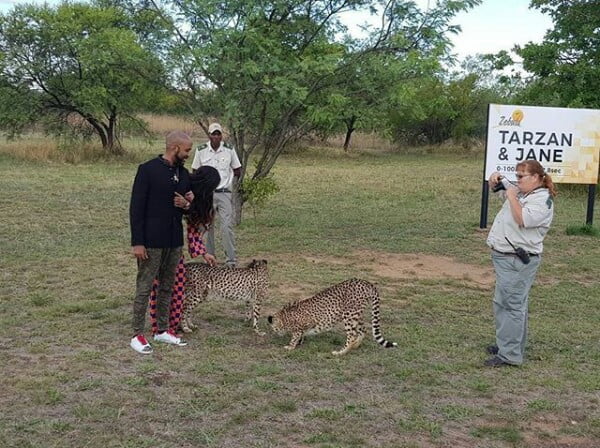  Photos: Newlyweds BankyW and Adesua play with cheetahs