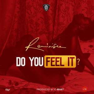 Reminisce - Do You Feel It
