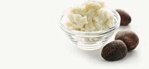 The Many Amazing Benefits Of Shea Butter (Ori)
