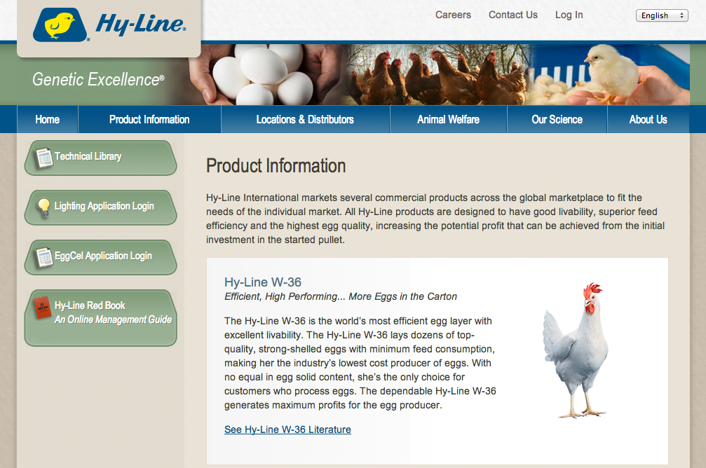 Most American egg-laying hens are hatched in hatcheries, not on farms. The largest hatchery is Hy-Line Hatchery in Iowa, which provides female chicks to egg operations in more than 120 countries and has "its own in-house molecular genetics team leading the industry in application of DNA-based technology," according to its website. At hatcheries like Hy-Line, the eggs will remain in incubator machines for about twenty-one days before hatching the chicks that will eventually lay the eggs that become mayonnaise.