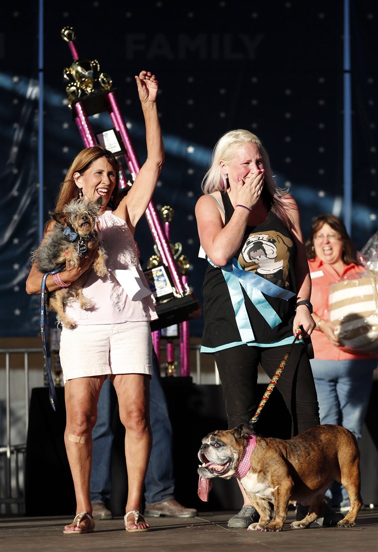 Meet Zsa Zsa, Winner of the World's Ugliest Dog contest Meet Zsa Zsa, Winner of the World's Ugliest Dog contest