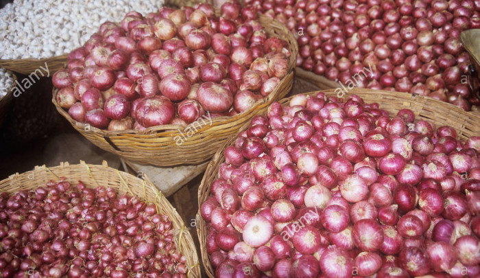 “Price of Onion crashes in Katsina State” -Survey