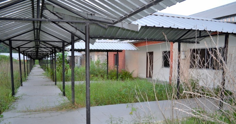 Nigeria: WHO begins rehabilitation of healthcare facilities