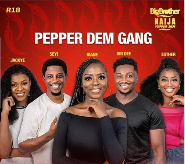 #BBNaija’s choice of diaspora Nigerians as housemates sparks outrage
