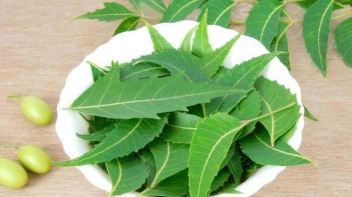 Seven beauty benefits of Dongoyaro (Neem Leaves)