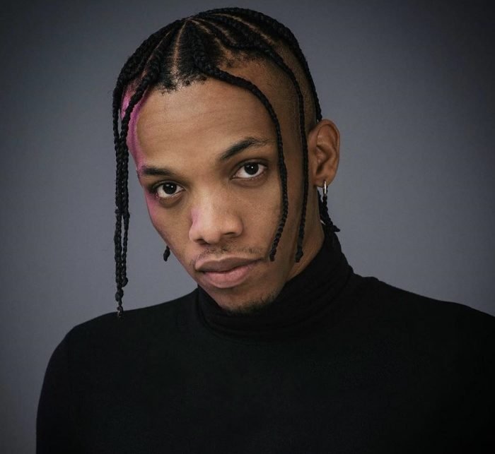 Nigerian Singer, Tekno renames forthcoming Album