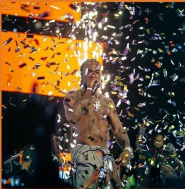 Image result for collateral damage burna boy