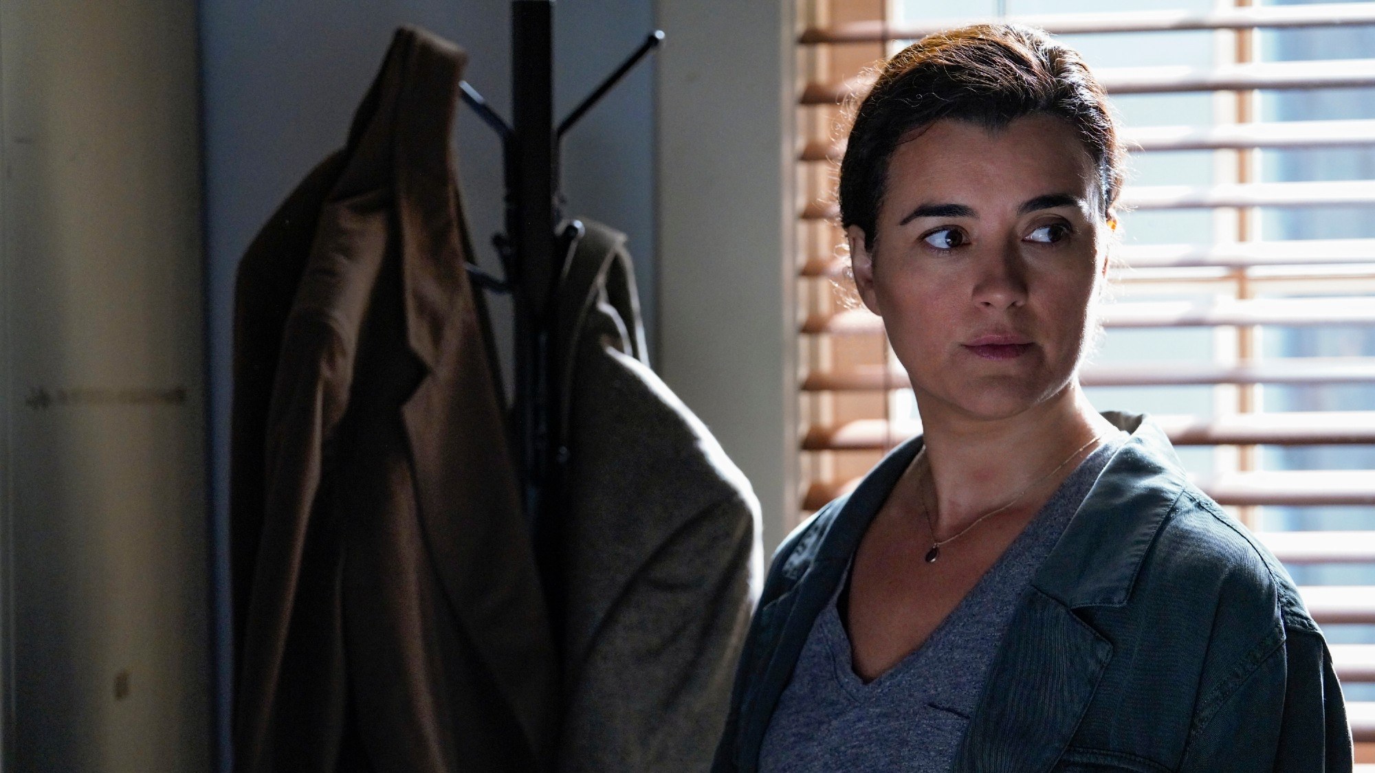 NCIS Cote de Pablo as Ziva David.