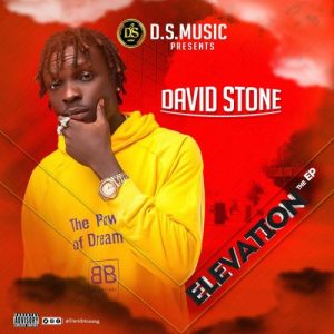 David Stone - Elevation EP
