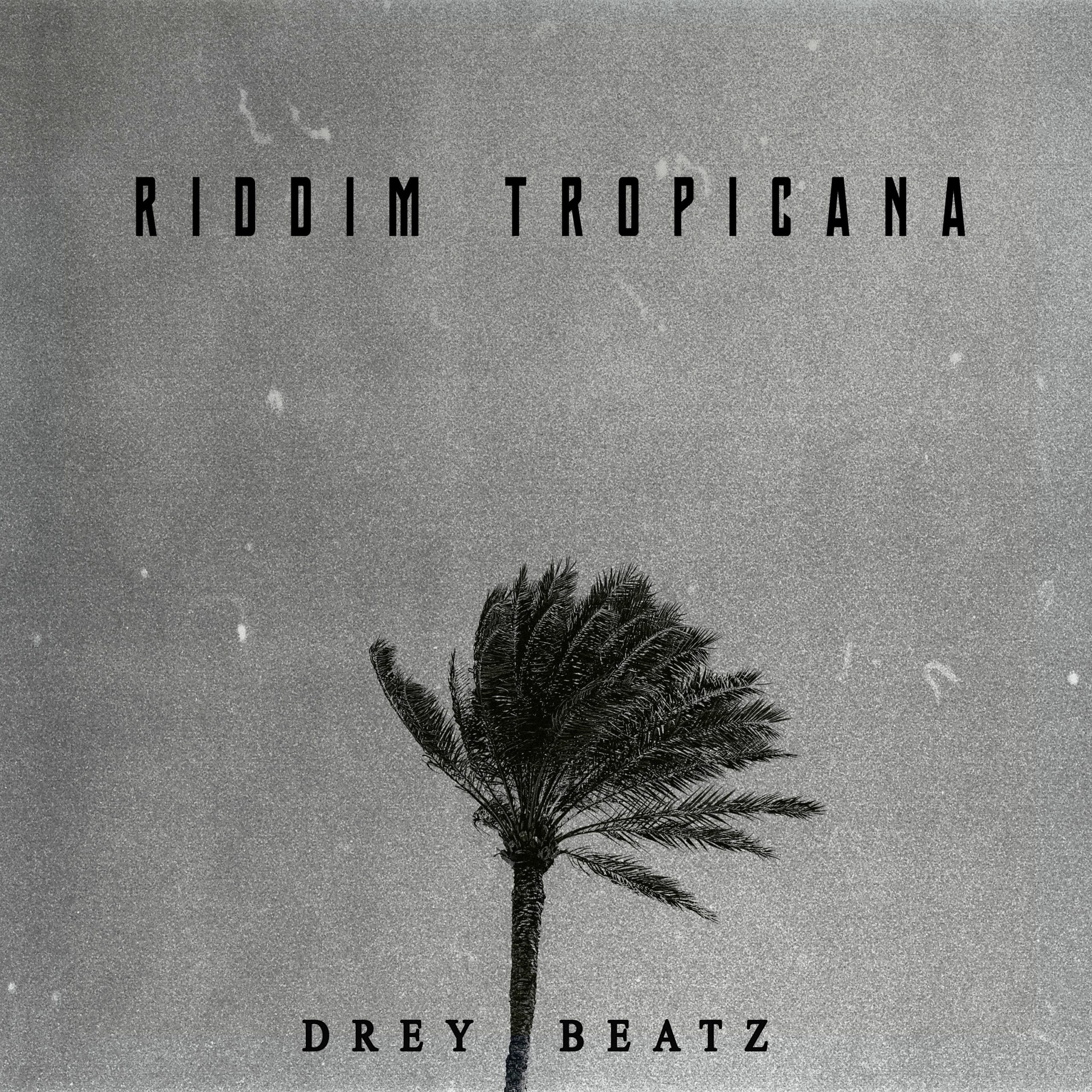 Drey Beatz Riddim Tropicana (prod. Drey Beatz)