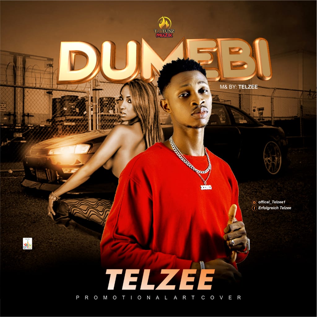 TelZee - Dumebi