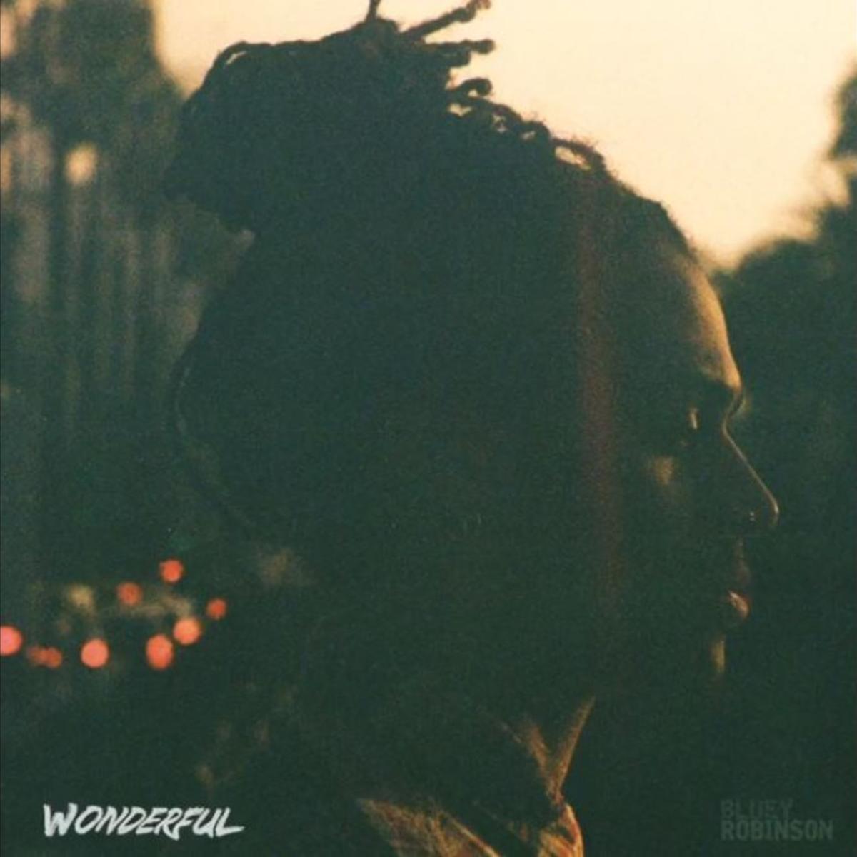 Bluey Robinson Wonderful