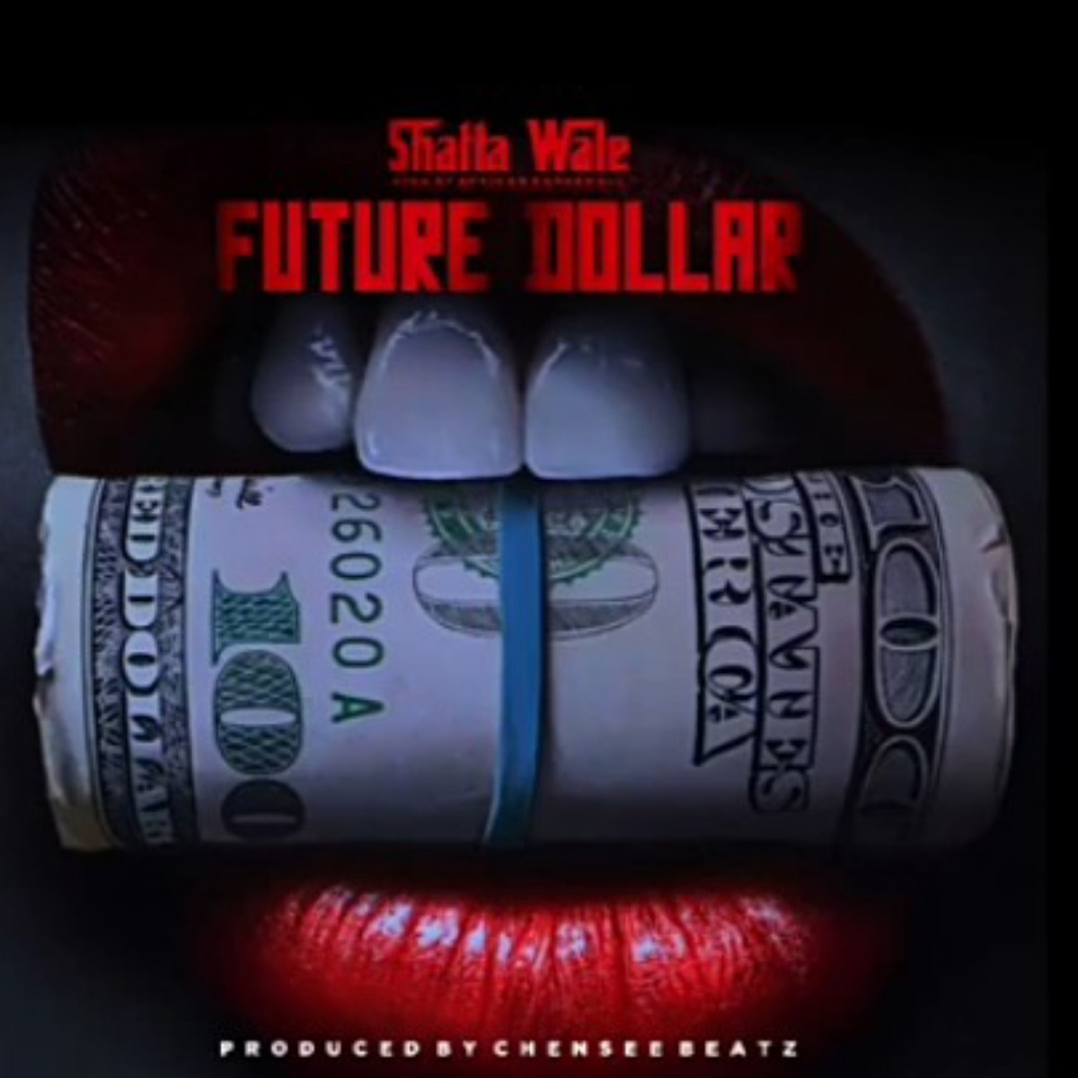 Shatta Wale Future Dollar