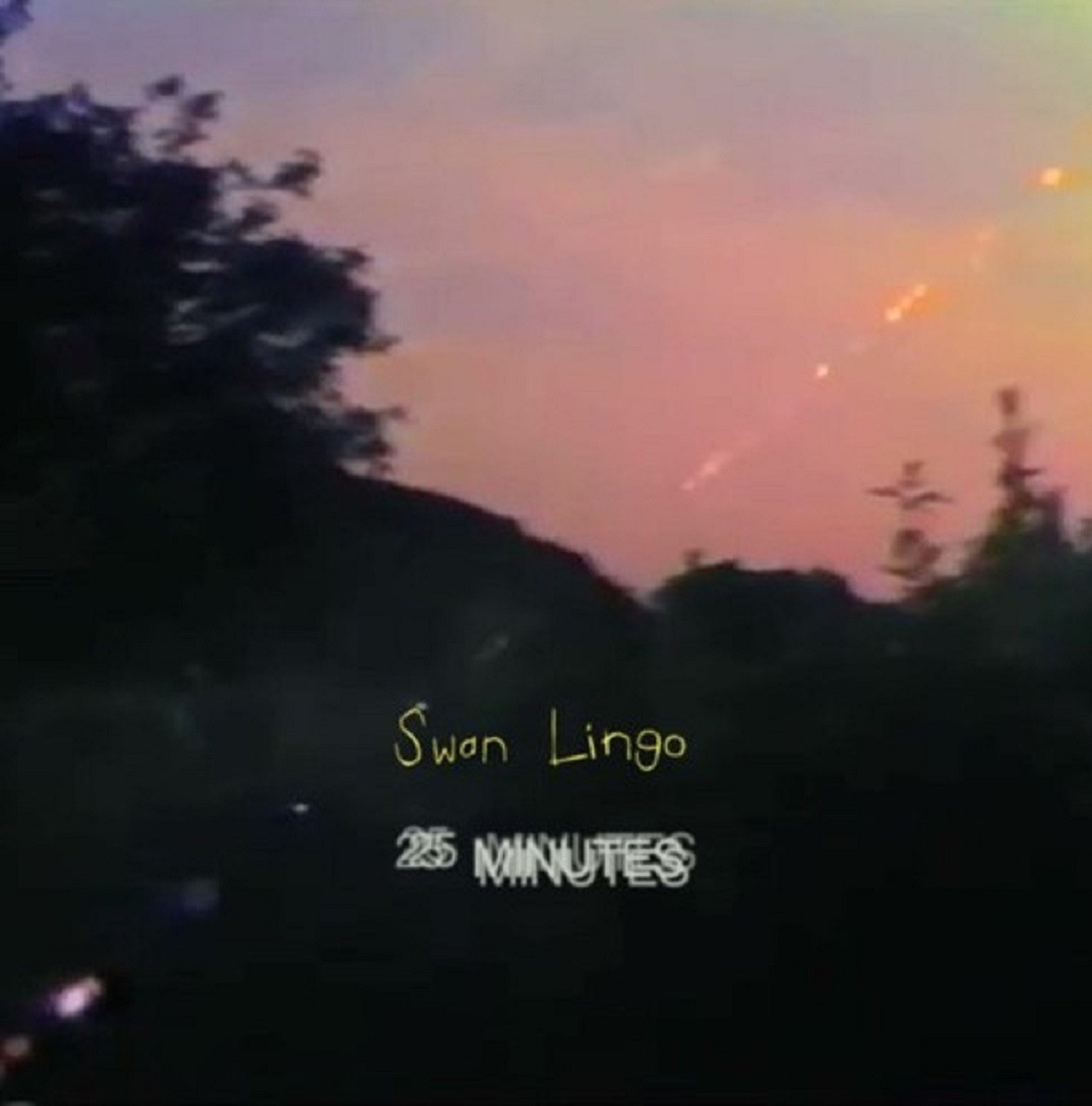 Swan Lingo 25 Minutes