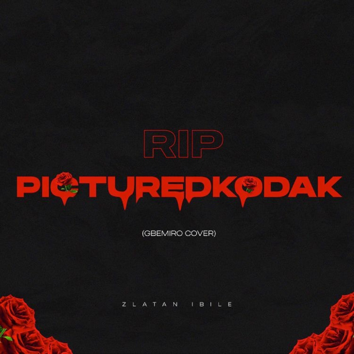 Zlatan Rip Picturekodak