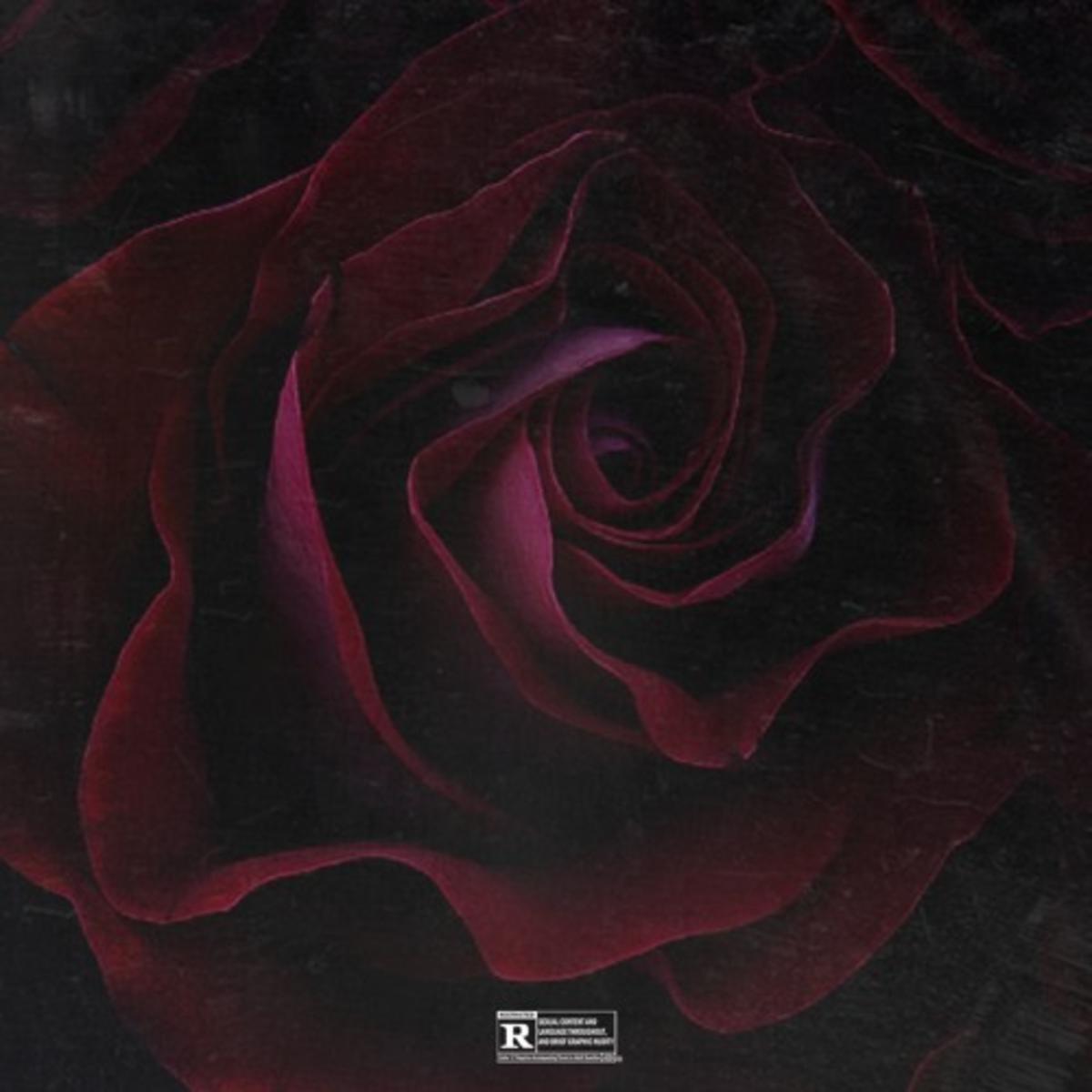 Chris Brown Him Or Me