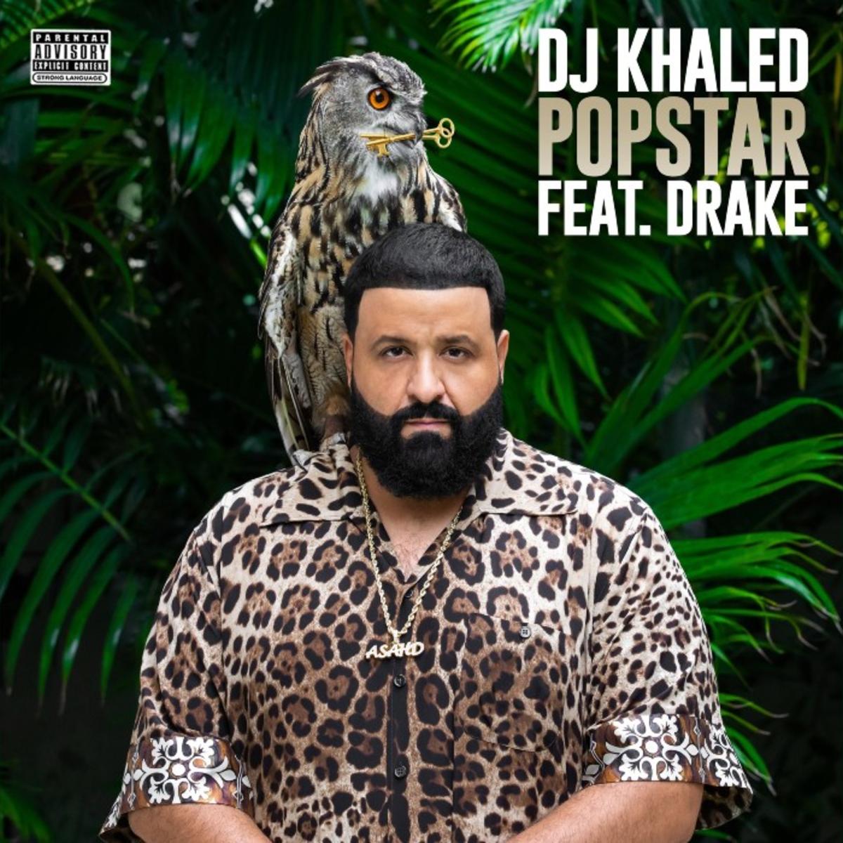Dj Khaled Popstar