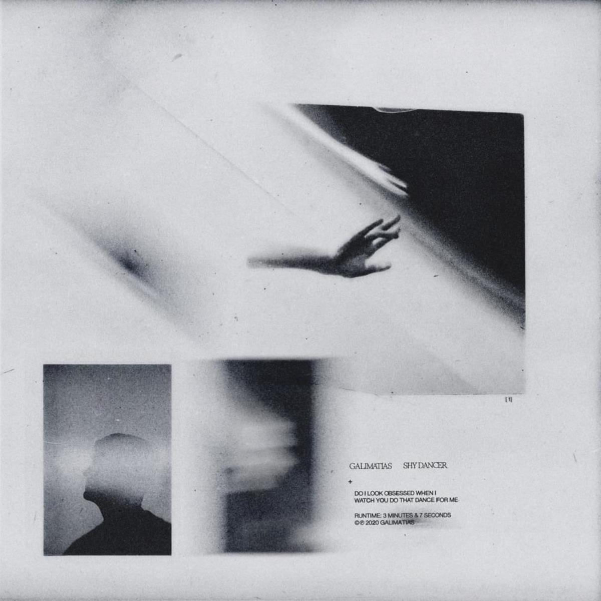 Galimatias Shy Dancer