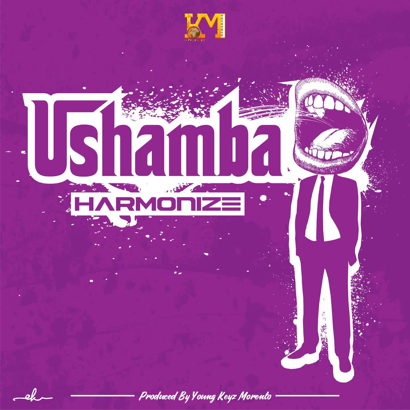 Harmonize Ushamba