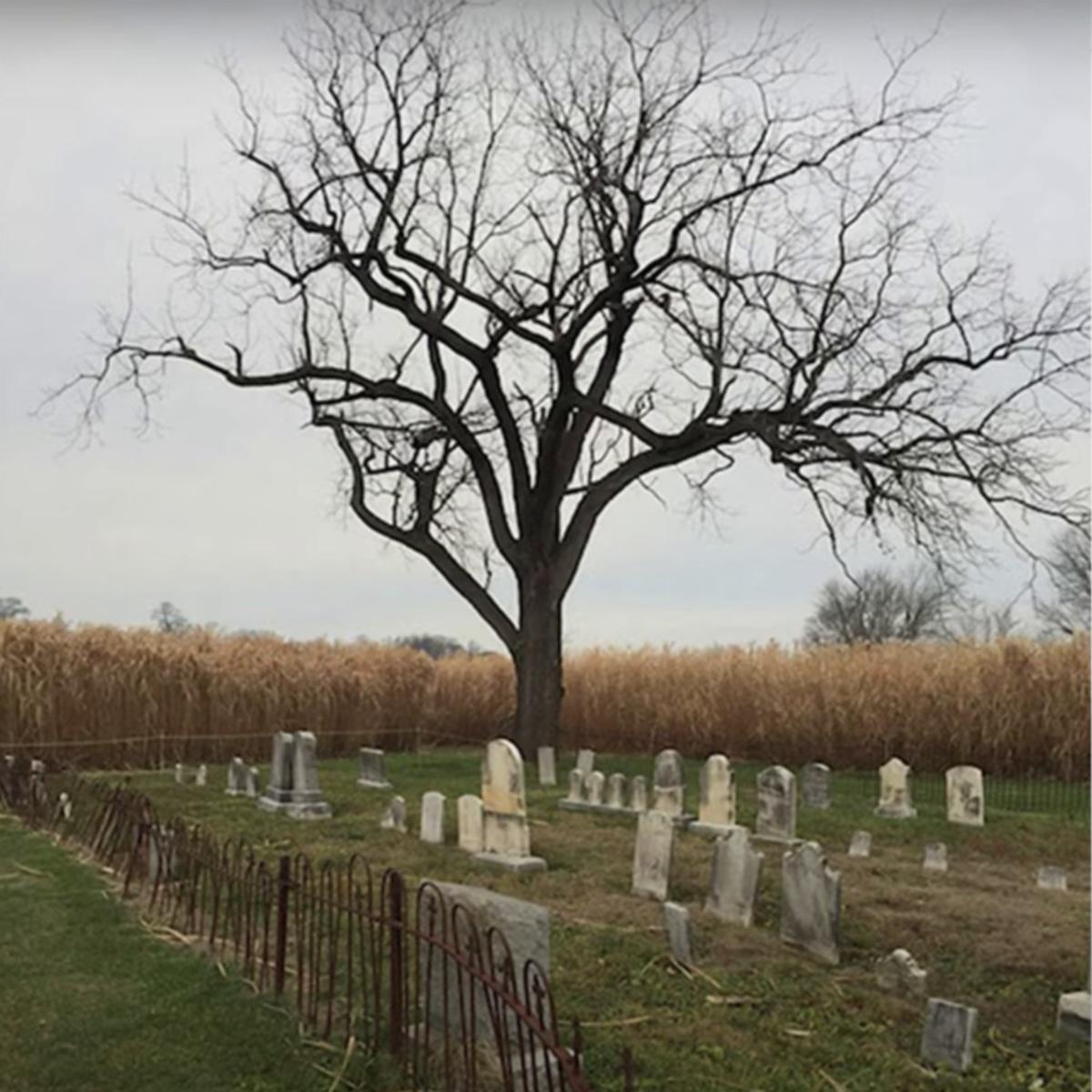 Quando Rondo Have You Ever