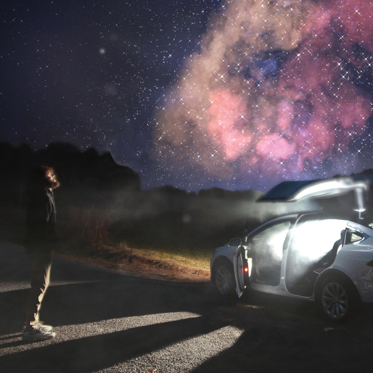 6 Dogs Starfire (teen Titans)