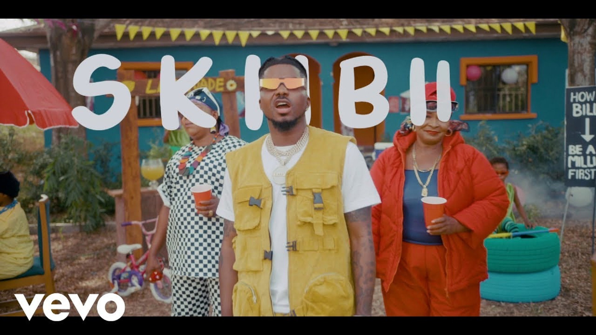 Skiibii Are You Vhere (video)