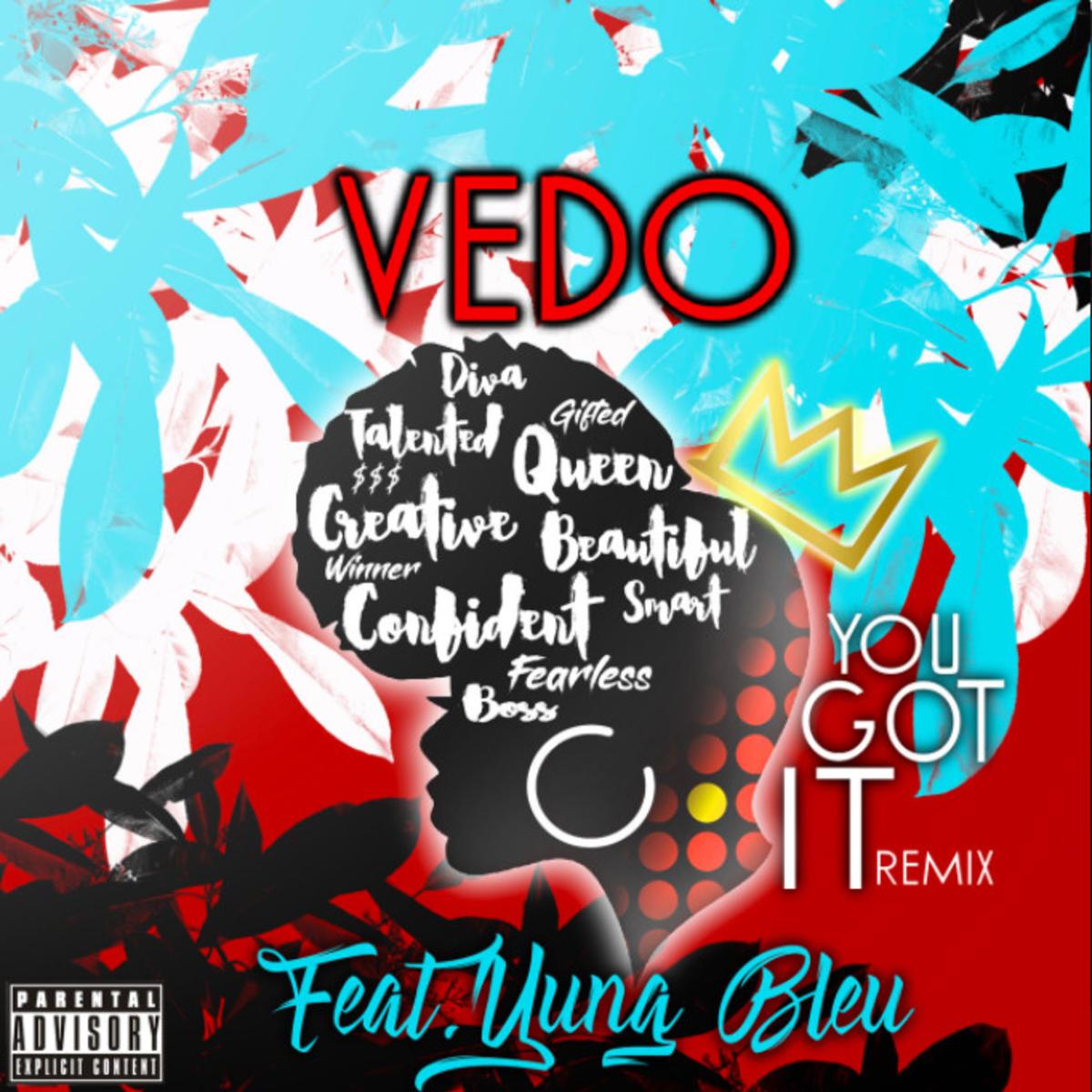 Vedo You Got It (remix)