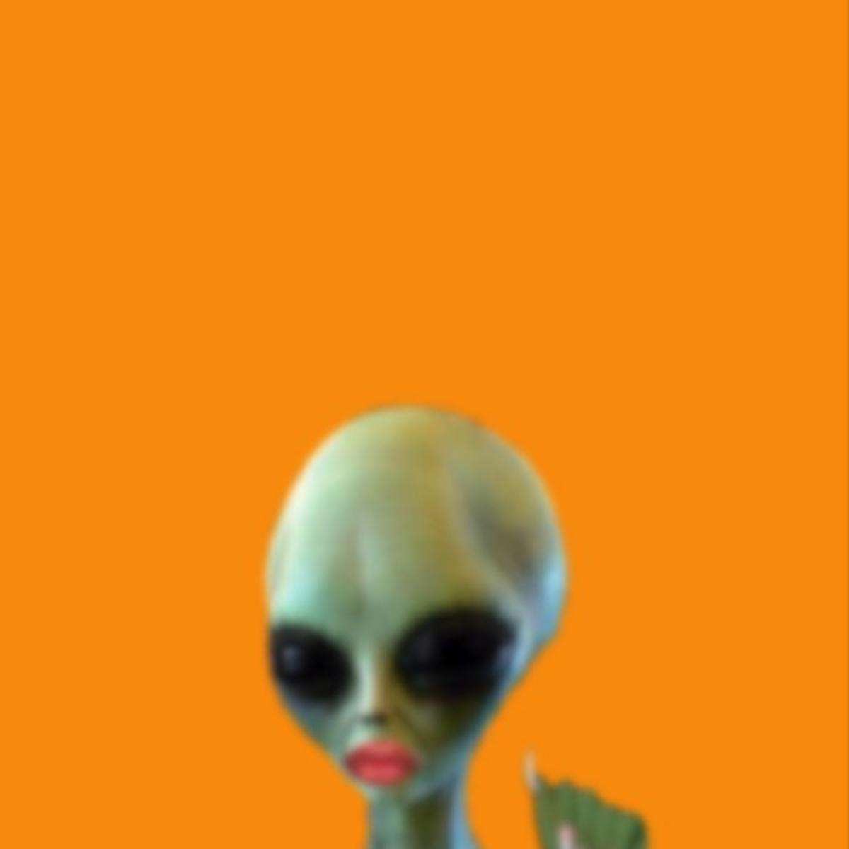 Kari Faux Chattin Shit