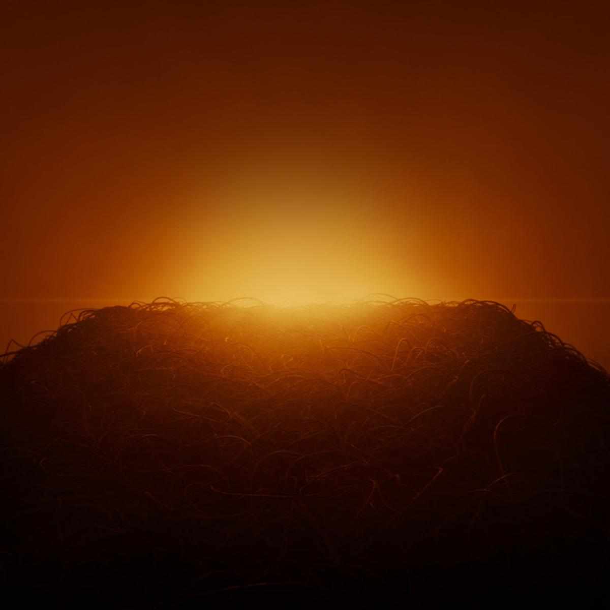 Swedish House Mafia Lifetime