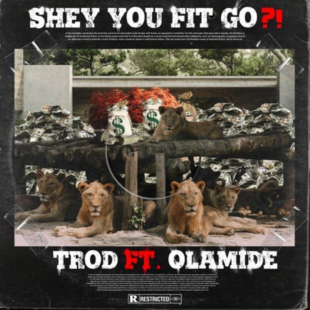 Trod Shey You Fit Go!