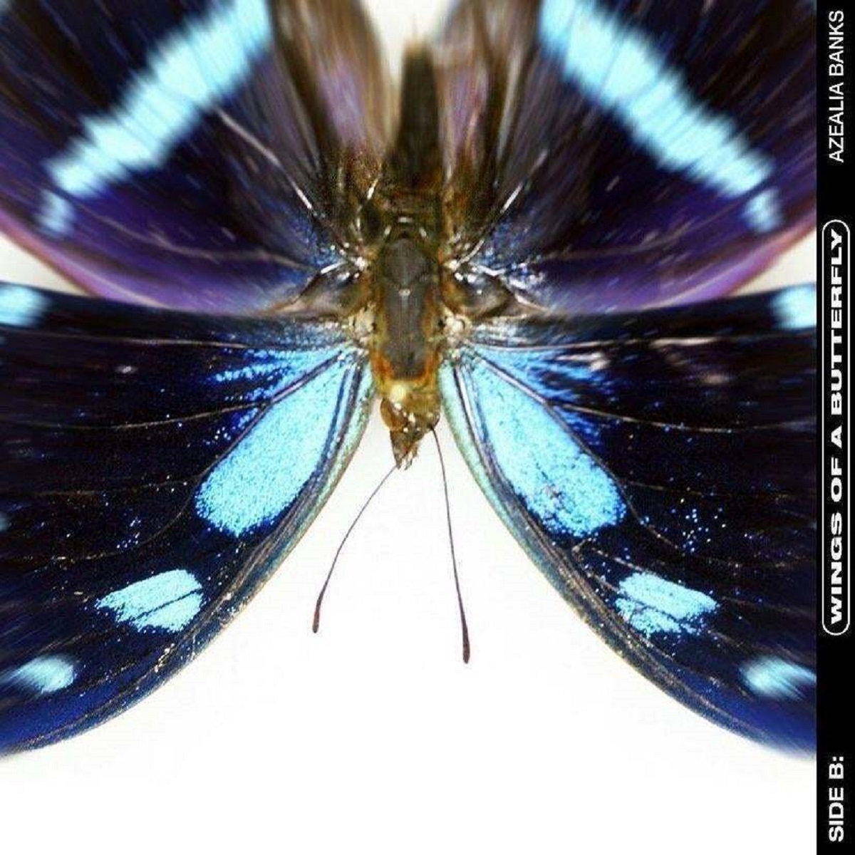 Azealia Banks Wings Of A Butterfly