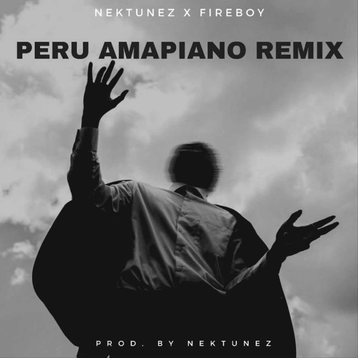 Fireboy Dml & Nektunez Peru (amapiano Remix)