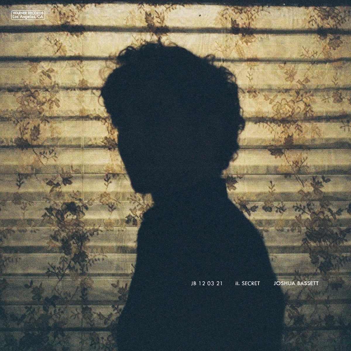 Joshua Bassett Secret