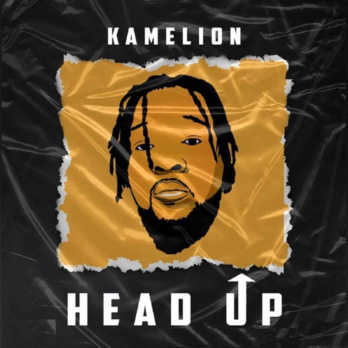 Kamelion Head Up