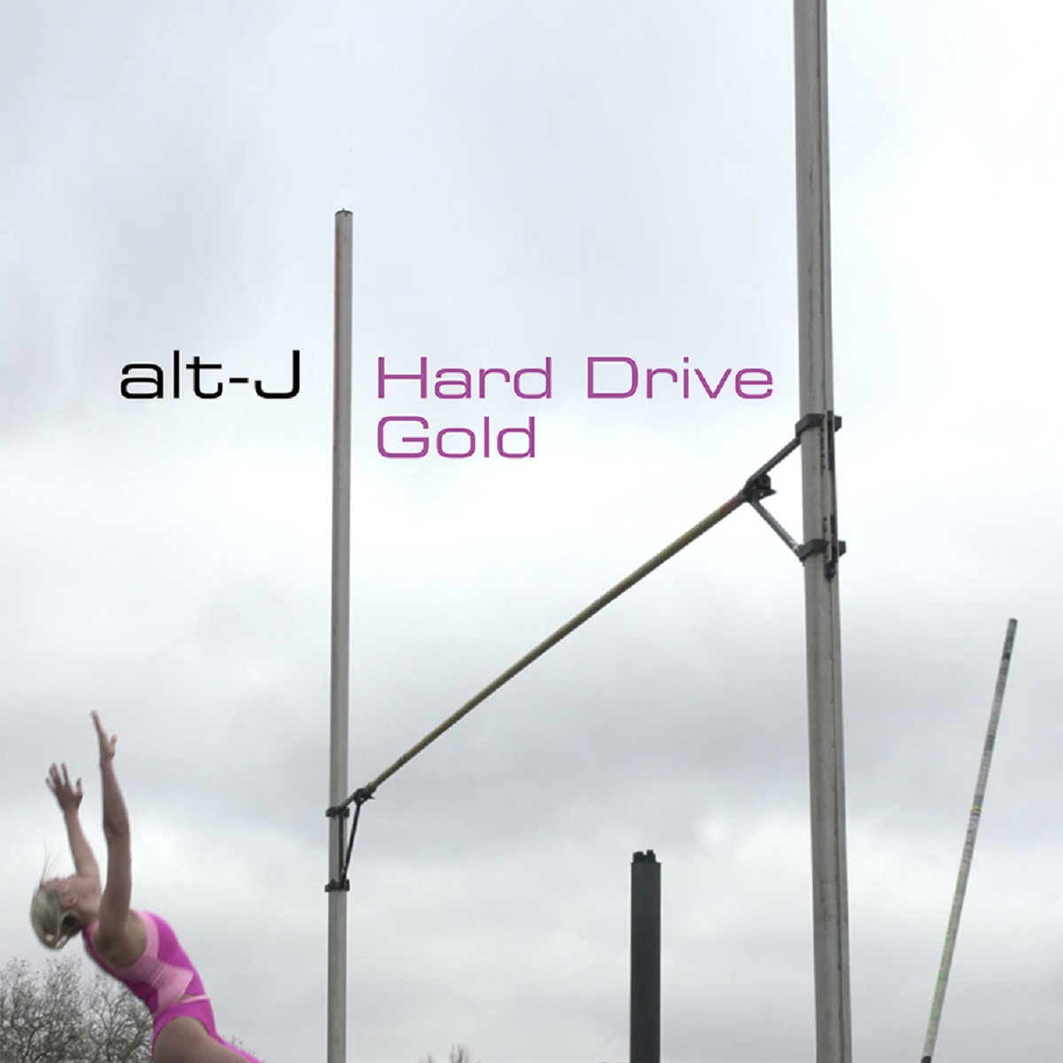 ​​alt J Hard Drive Gold